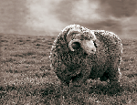 blast_the_outdoors_2007009010.gif