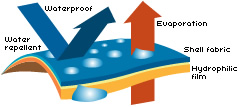 ebwt-diagram_3d.jpg