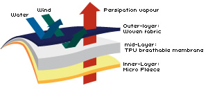 softshell-diagram.jpg